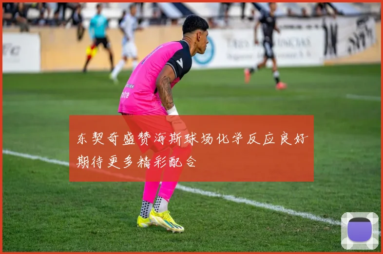 东契奇盛赞海斯球场化学反应良好期待更多精彩配合