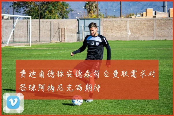 费迪南德称安德森符合曼联需求对签琼阿梅尼充满期待